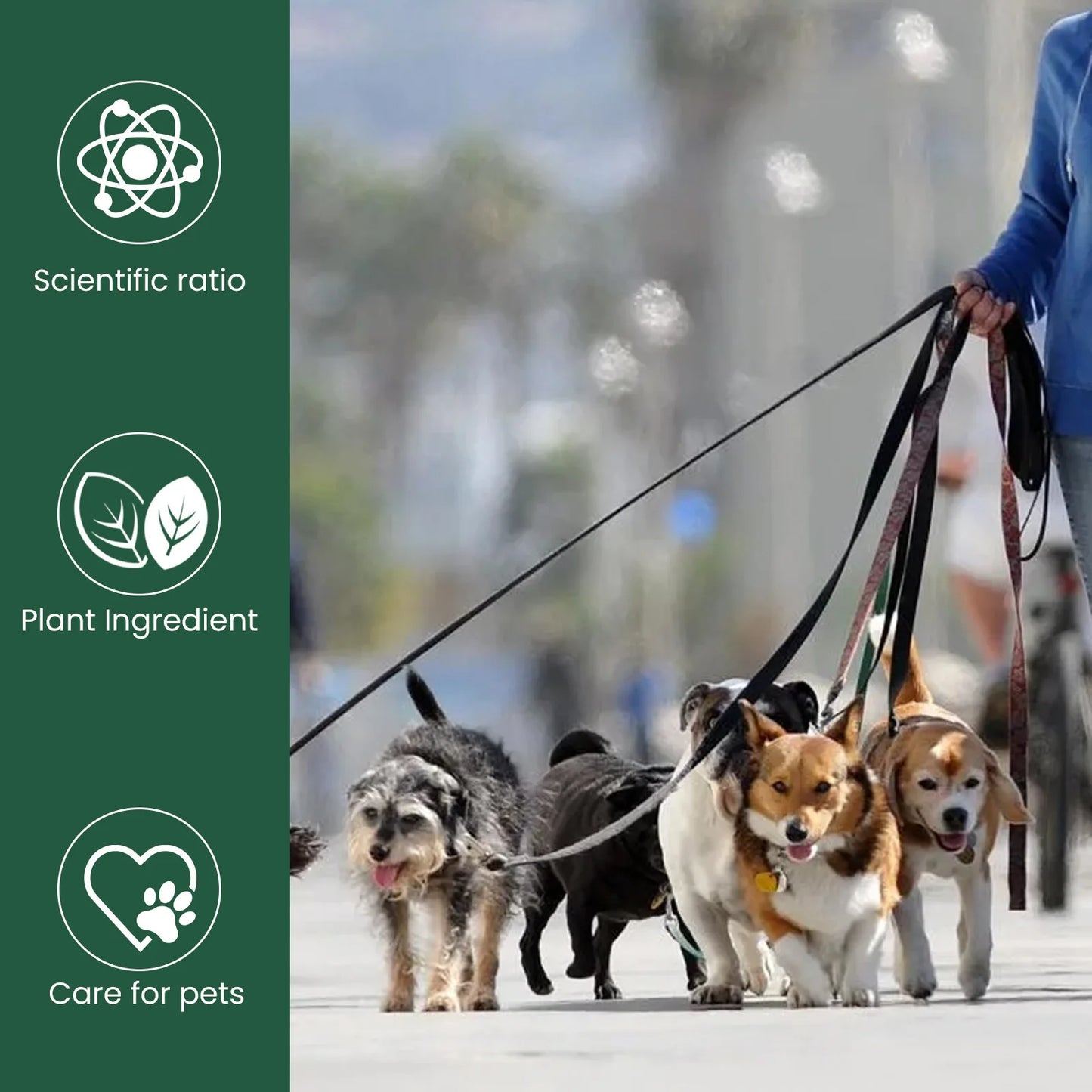 Pet Multivitamin Health Drops