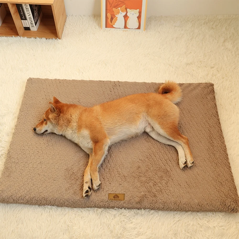 Orthopedic 3D Foam Pet Bed