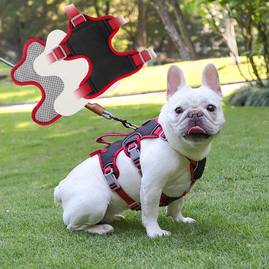 No-Pull Reflective Harness with Grip Handle