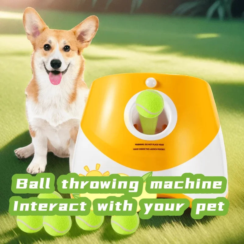 Automatic Dog Ball Launcher