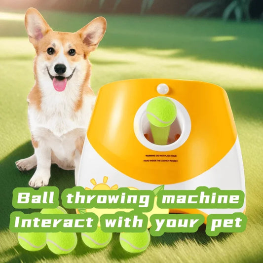 Automatic Dog Ball Launcher