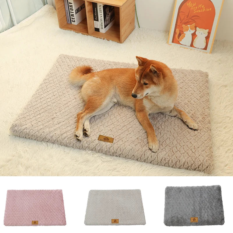 Orthopedic 3D Foam Pet Bed
