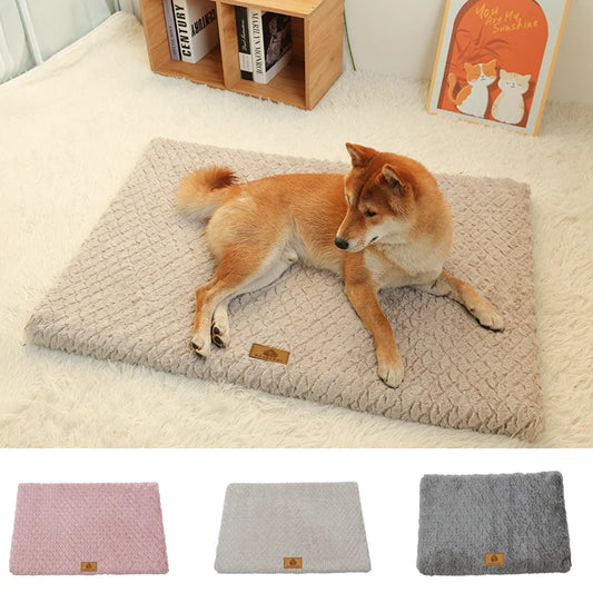 Orthopedic 3D Foam Pet Bed