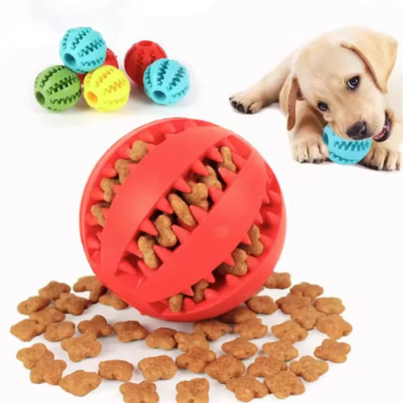 Interactive Rubber Pet Ball Toy