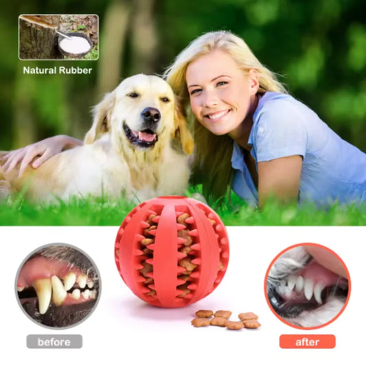 Interactive Rubber Pet Ball Toy