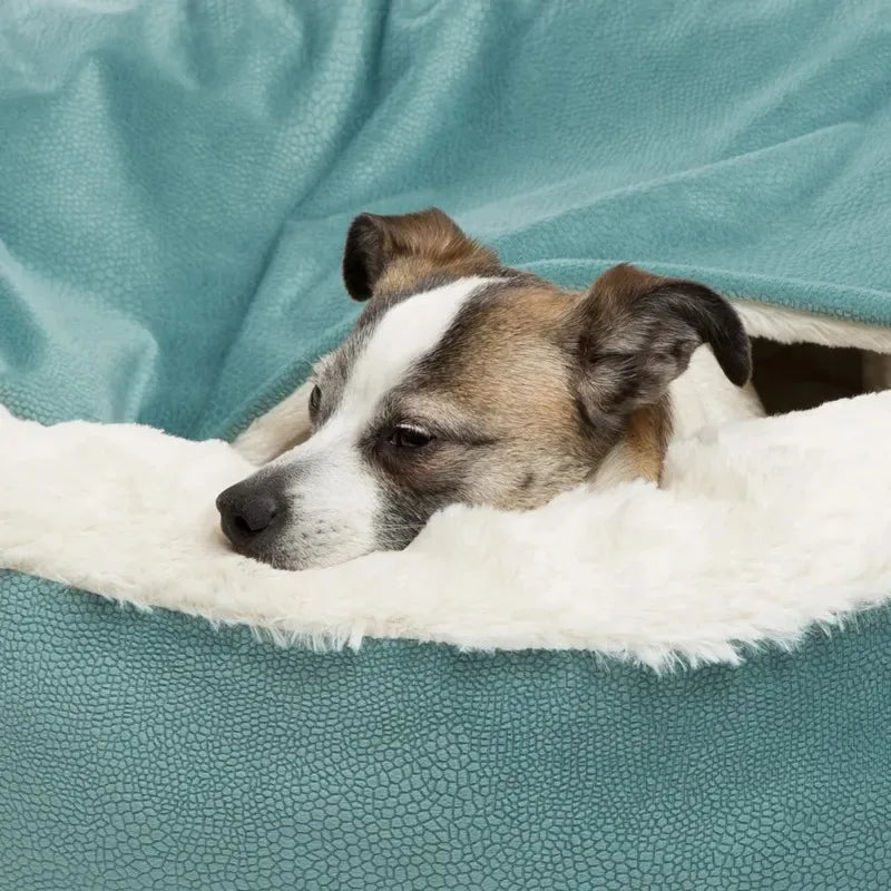 Orthopedic Hooded Dog Bed