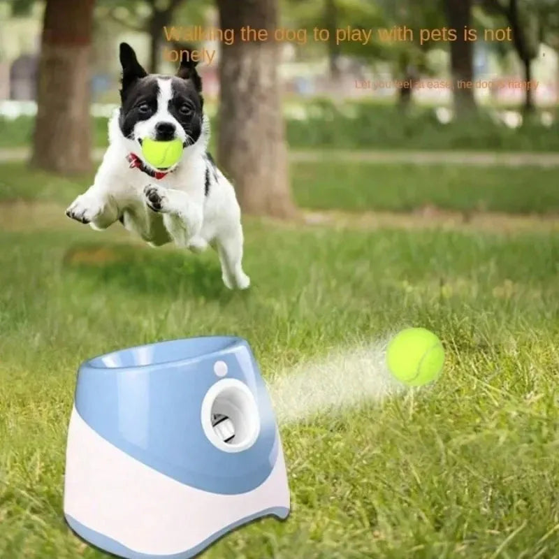 Automatic Dog Ball Launcher