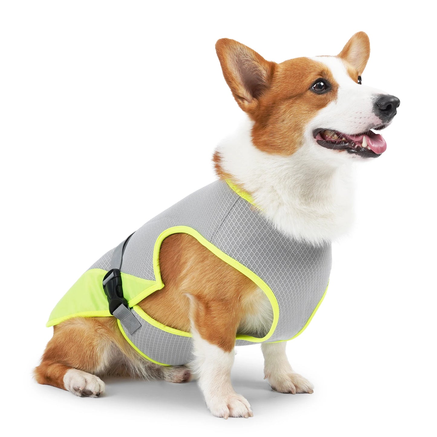 Breathable Cooling Vest for Dogs