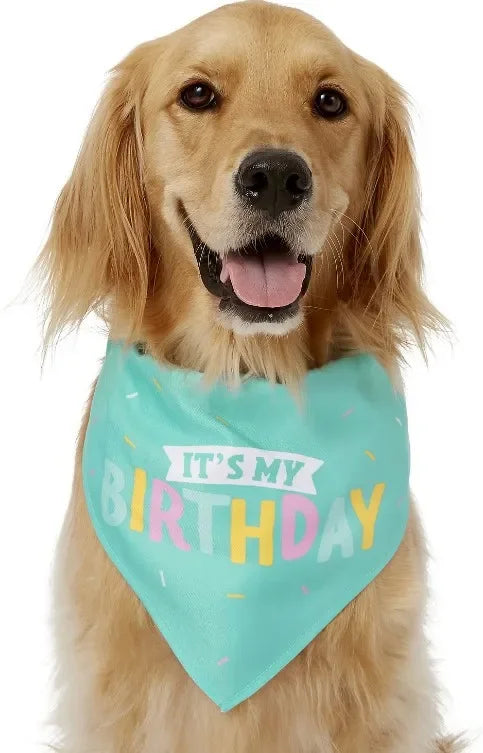 Plush Dog Birthday Cake Toy