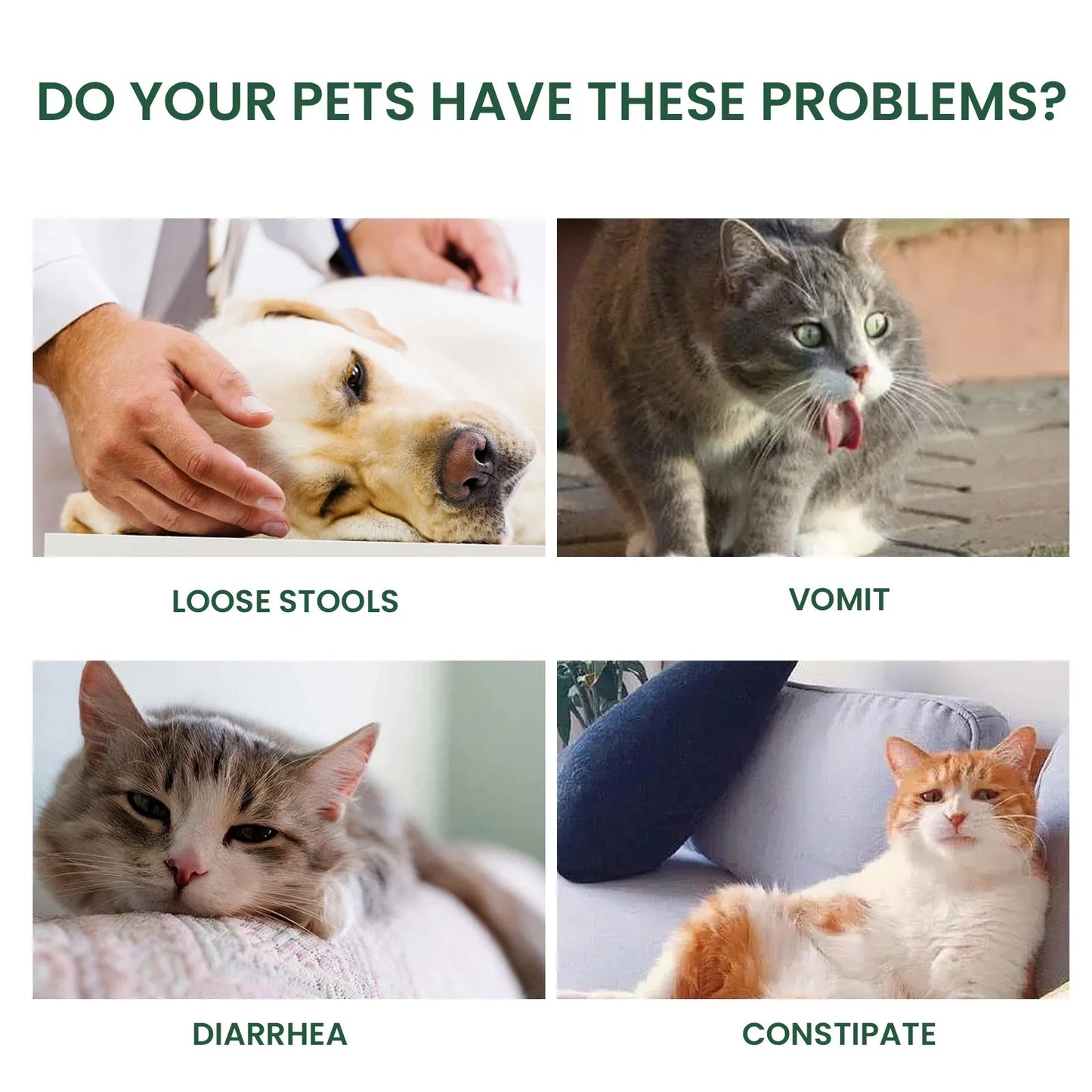 Pet Multivitamin Health Drops