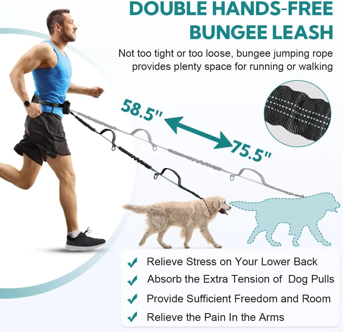 Hands-Free Dual Dog Leash with Pouch