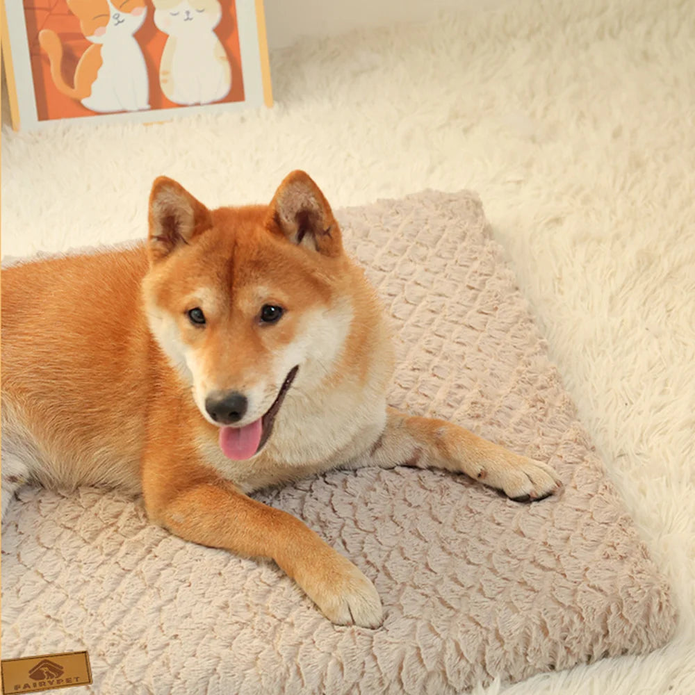 Orthopedic 3D Foam Pet Bed