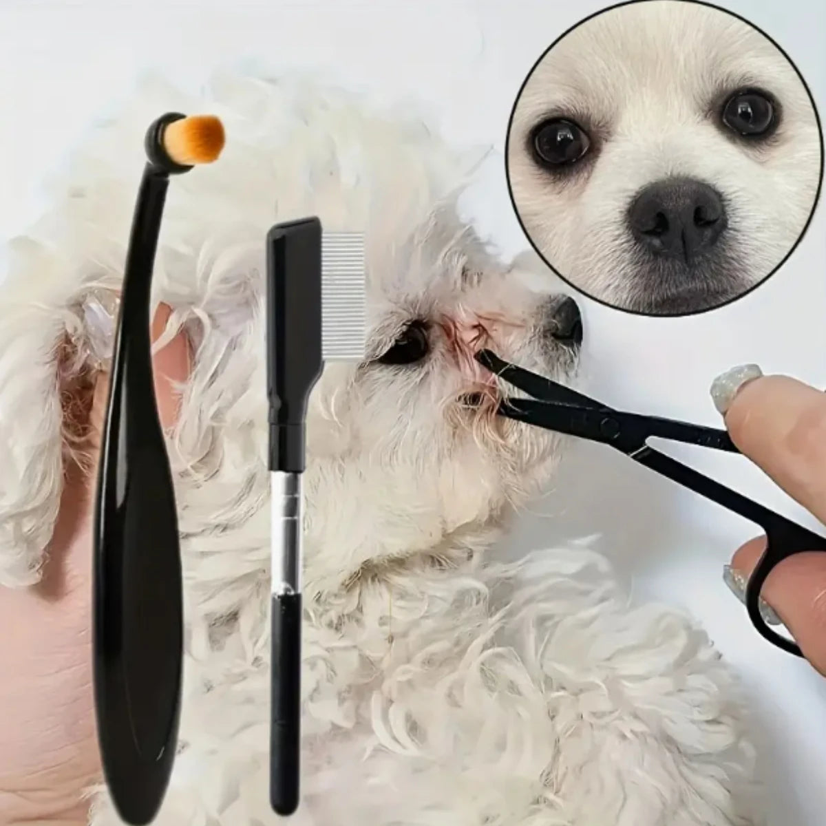3-in-1 Pet Grooming Kit – Scissors, Comb & Brush Set | Efficient Dog Tear-Stain Cleaning & Hair Trimming Tool
