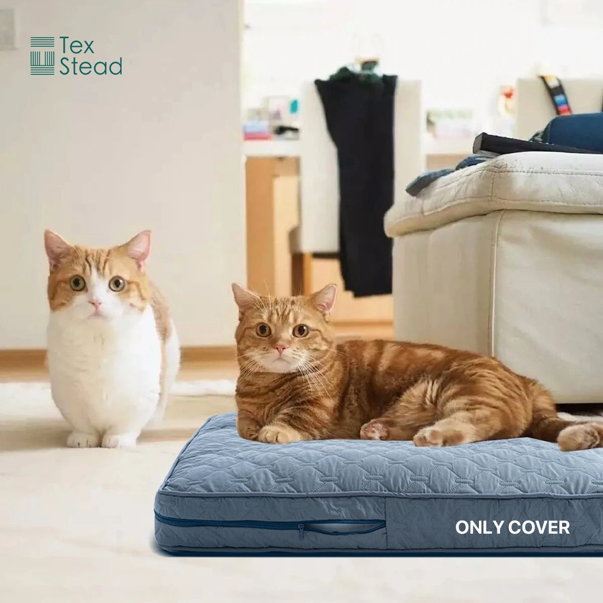 Orthopedic Dog Bed Cover